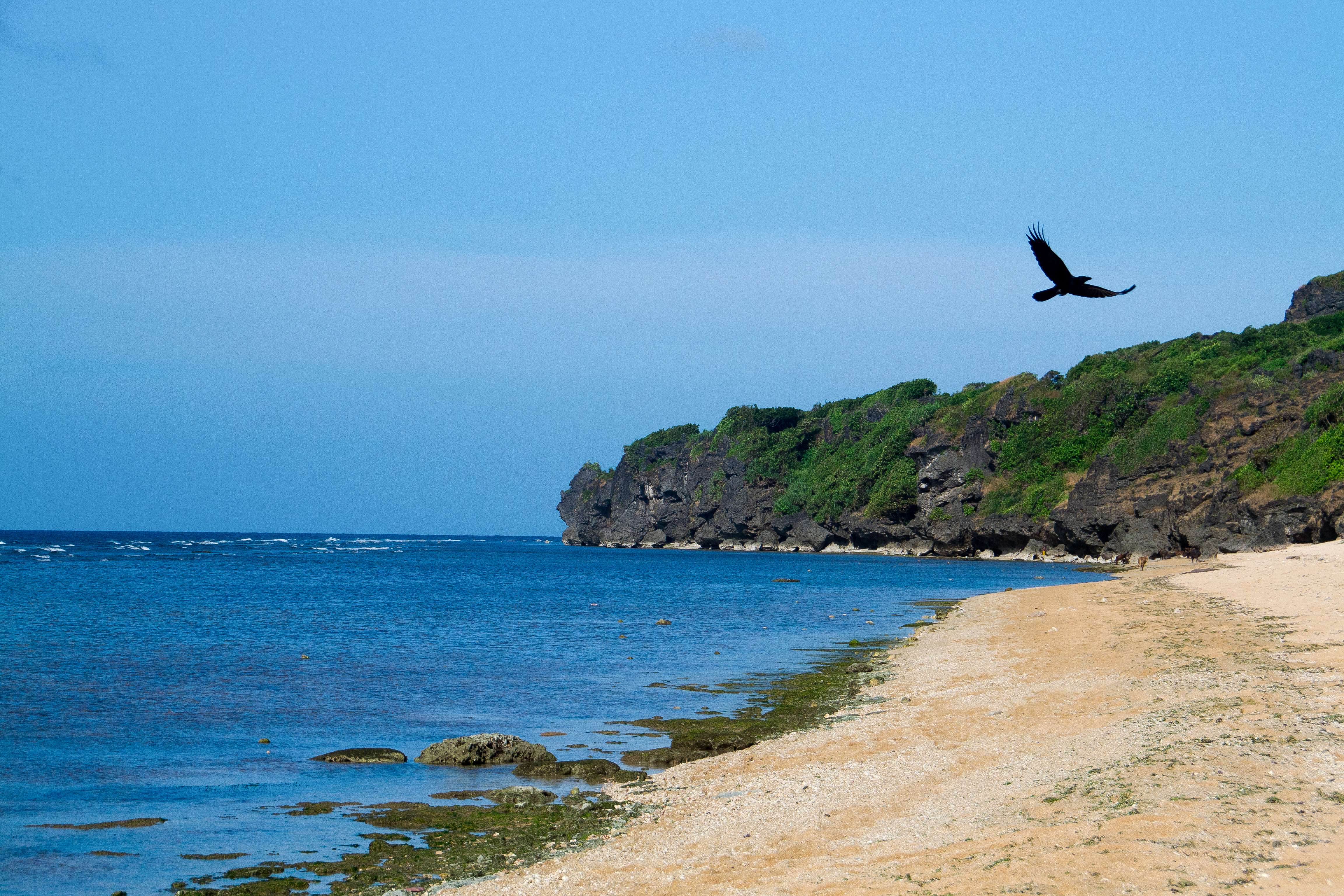 Cabra Beach